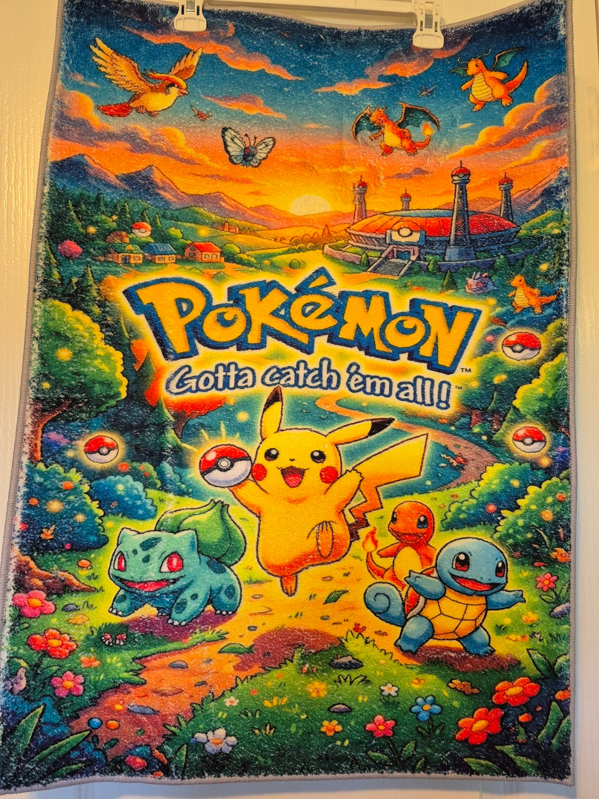 Pokémon ‘Gotta Catch Em All’ – Anime Character Wall-Hanging Rug