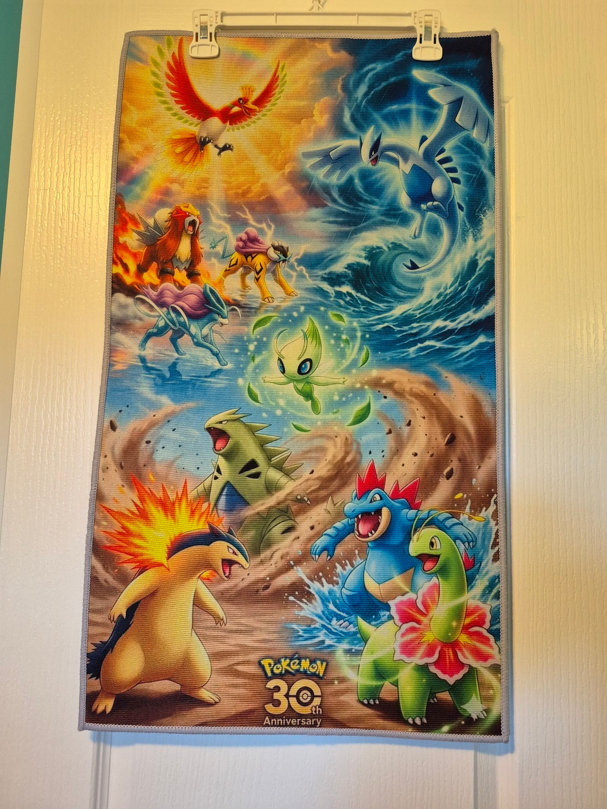 Pokémon 30th Anniversary – Anime Character Wall-Hanging Rug